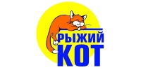 Рыжий кот